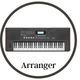 Arranger Keyboard - Buy at Zoso Piano Store