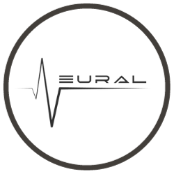 Neural DSP Zoso Music
