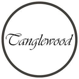 Tanglewood Acoustic Guitar