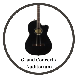 Grand Concert / Auditorium Acoustic Guitar