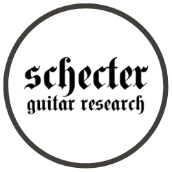 Schecter Electric Guitar