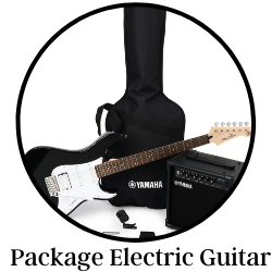 Package Electric Guitar - Zoso Music