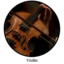 Violin