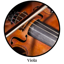 Viola