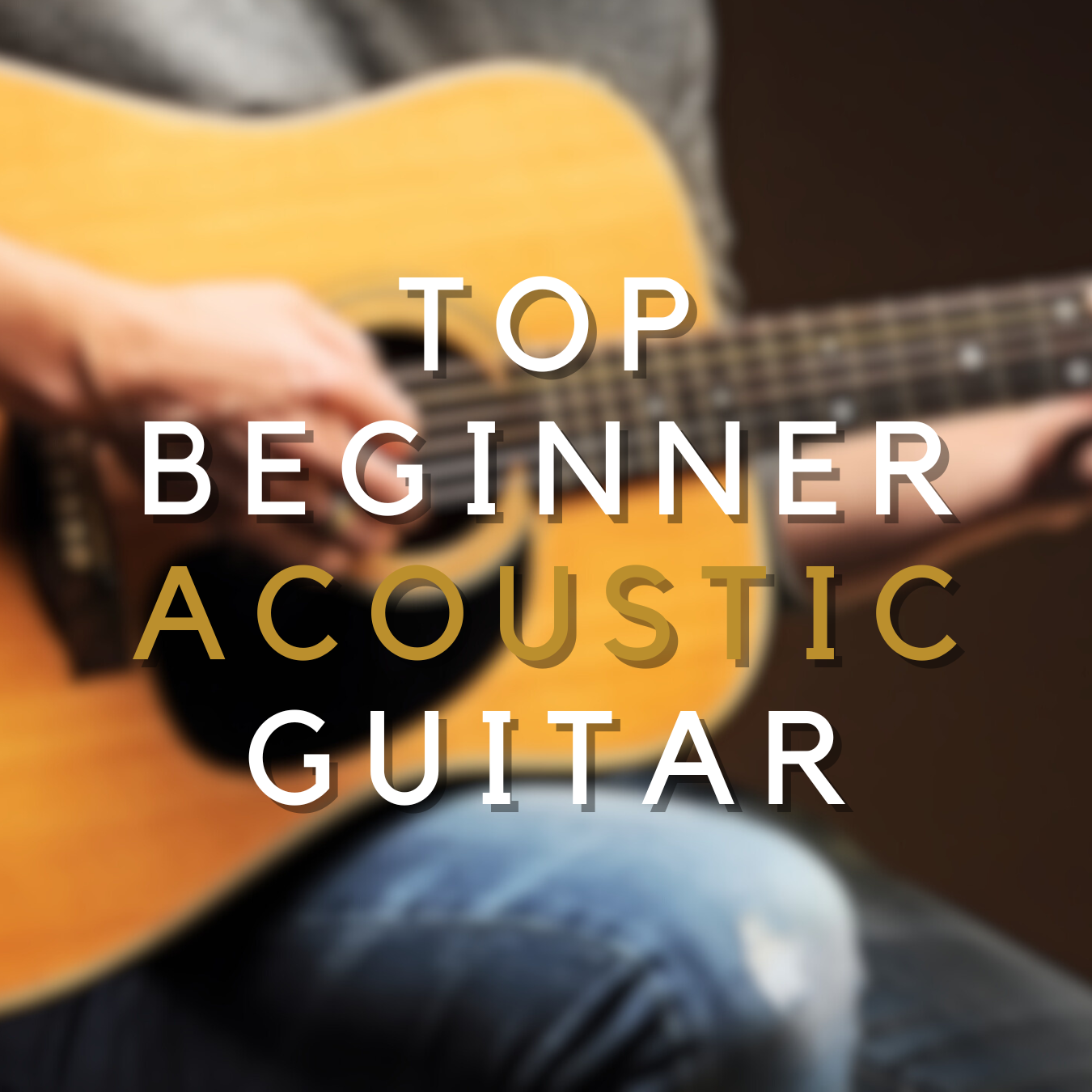 Top Beginner Acoustic Guitar Zoso Music