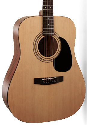 Cort CAP-810 Trailblazer Acoustic Guitar Starter Pack - Open Pore