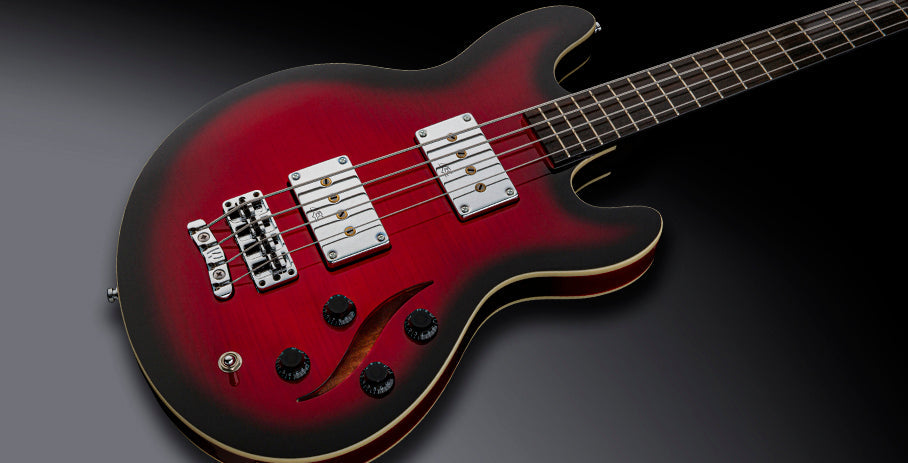 Warwick RockBass Artist Line SklarBass I 4String Guitar, Burgundy Blackburst Transparent High Polish |  WARWICK |  BASS GUITAR |  Zoso Music
