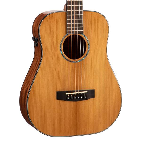 Cort Gold-Mini Acoustic Guitar With Case Natural
