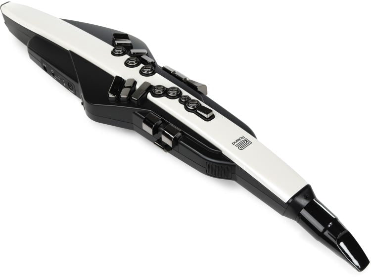 Roland Aerophone AE-20 Digital Wind Instrument |  ROLAND |  WOODWINDS-DIGITAL |  Zoso Music