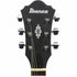 Ibanez Artcore AS53 Electric Guitar - Transparent Black Flat |  IBANEZ |  ELECTRIC GUITAR |  Zoso Music