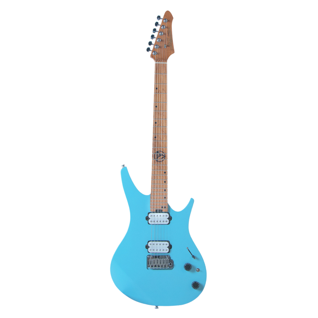 J&D DX100 Electric Guitar Roasted Maple Neck Blue
