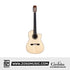 Cordoba Fusion 14 Maple Classical Guitar - Solid European Spruce Top, Flamed Maple Back & Sides, With Gator Guitar Case