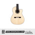 Cordoba Fusion 14 Maple Classical Guitar - Solid European Spruce Top, Flamed Maple Back & Sides, With Gator Guitar Case |  CORDOBA |  CLASSICAL GUITAR |  Zoso Music