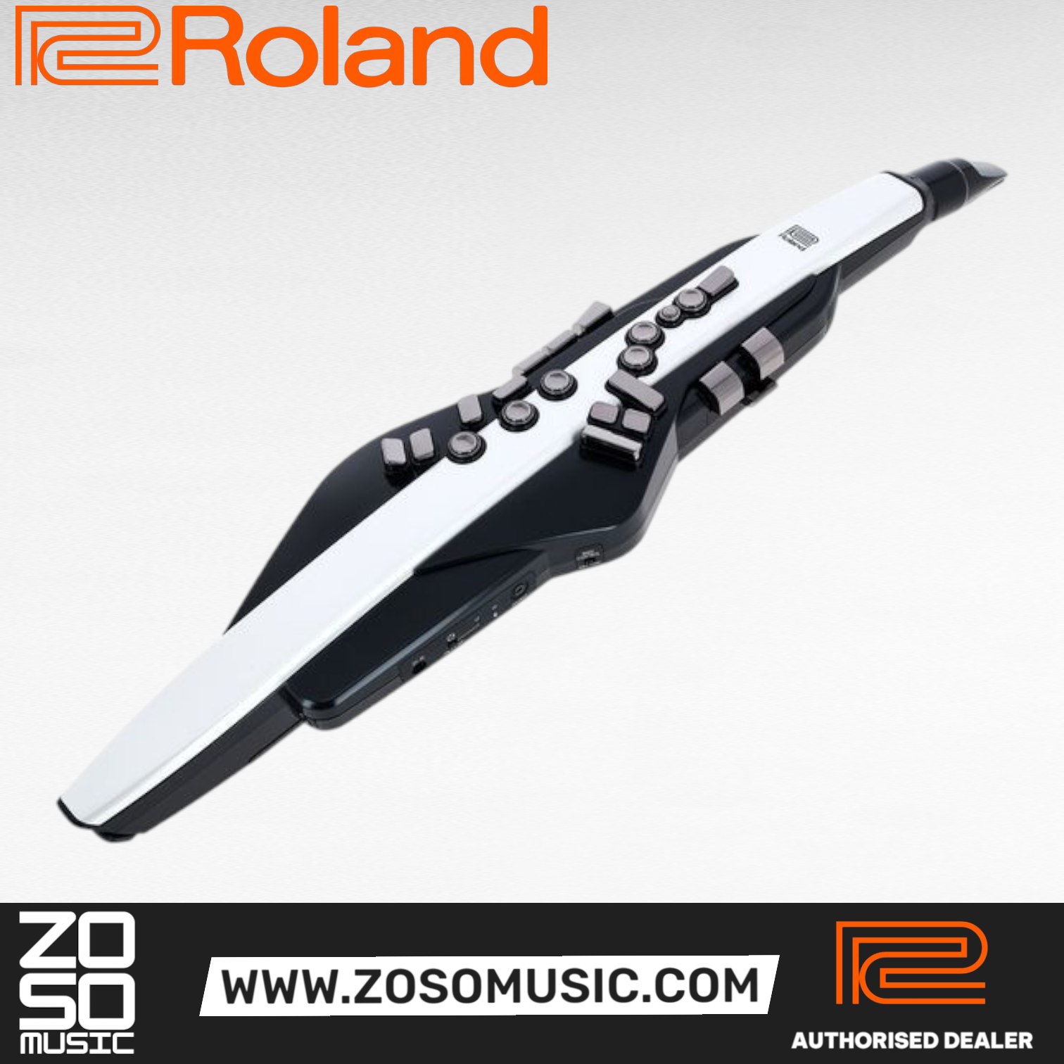 Roland Aerophone AE-20 Digital Wind Instrument |  ROLAND |  WOODWINDS-DIGITAL |  Zoso Music