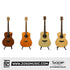 SQOE F40A-BQJ/F40B-BQJ Chard 40-inch Matte Semi-Cutaway Acoustic Guitar