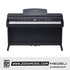 Medeli DP530E 88 Keys Upright Piano Package With Backlit LCD Display for Versatile |  MEDELI |  PIANO-UPRIGHT |  Zoso Music