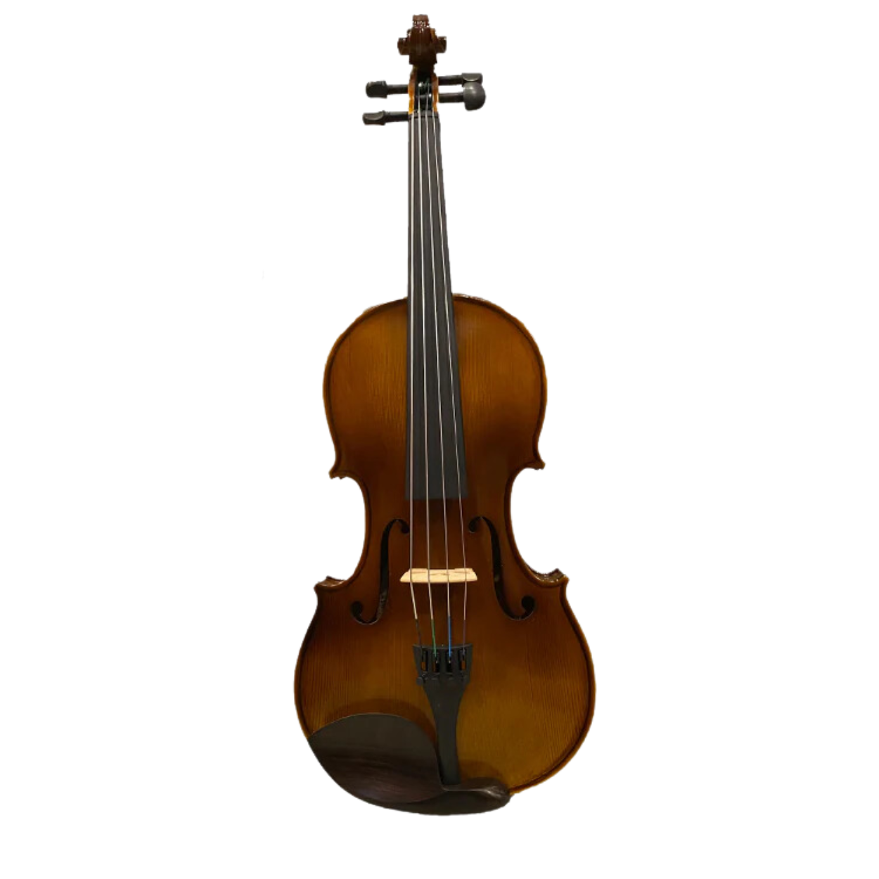 Benjamin Kienz Selection APE35-15 15'' Viola with Case