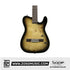 SQOE SEGD600 Nylon Electric Guitar with Piezo Pickups