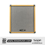 Sqoe SQ-40B Professional 40W Electric Bass Amp