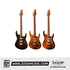 SQOE SEIB999 HH Roasted Maple Series Electric Guitar | Zoso Music Sdn Bhd