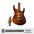 SQOE SEIB999 HH Roasted Maple Series Electric Guitar