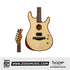 SQOE SEAE930 Acoustasonic Guitar with Humbucker Pickup