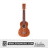 Cordoba 20SM Mahagony Soprano Ukulele - Mahagony Top, Mahagony Back & Sides |  CORDOBA |  UKULELE |  Zoso Music