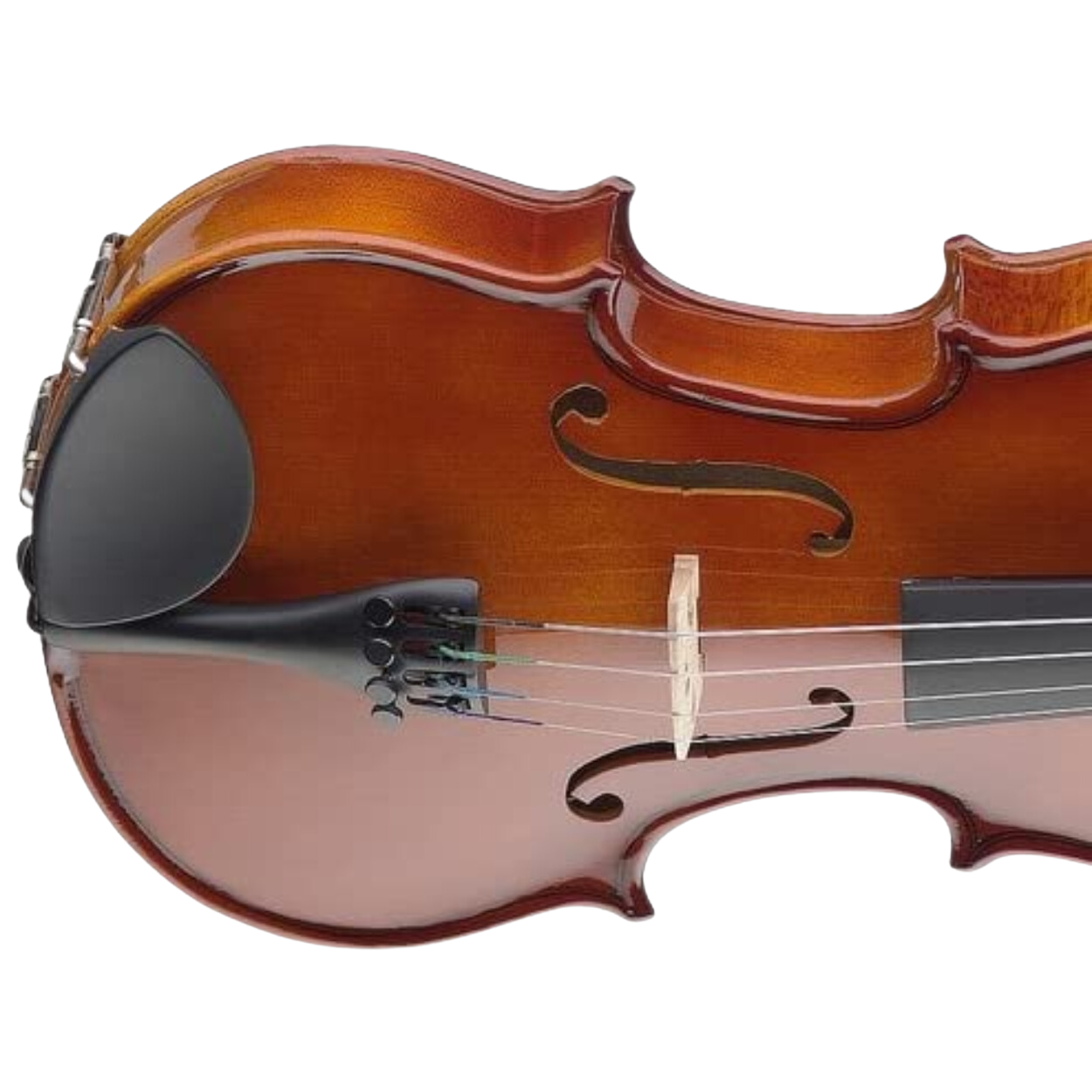 Stagg Vn-1/2 L 1/2 Size Maple Violin With Soft Case |  STAGG |  STRINGS INST-VIOLIN |  Zoso Music