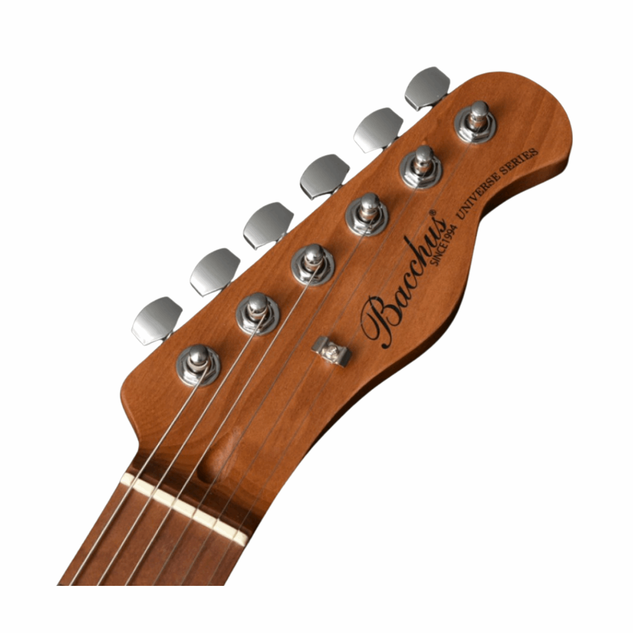 Bacchus Bte-1-rsm/m-blk Universe Series Roasted Maple Electric Guitar, Black With Bag