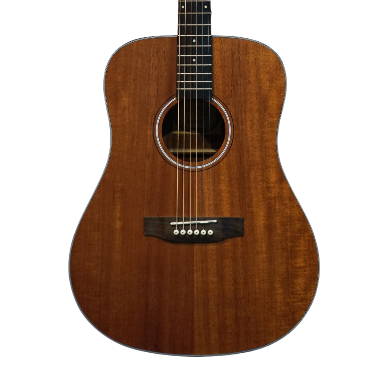 Neowood ED41 NAT 41Inch Acoustic Guitar Matte Finish Natural | Zoso Music Sdn Bhd