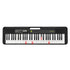 Casio LK-S250 Tone 61 Keys Portable Keyboards With Ac Adaptor |  CASIO |  KEYBOARD-PORTABLE |  Zoso Music