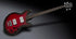 Warwick RockBass Artist Line SklarBass I 4String Guitar, Burgundy Blackburst Transparent High Polish |  WARWICK |  BASS GUITAR |  Zoso Music