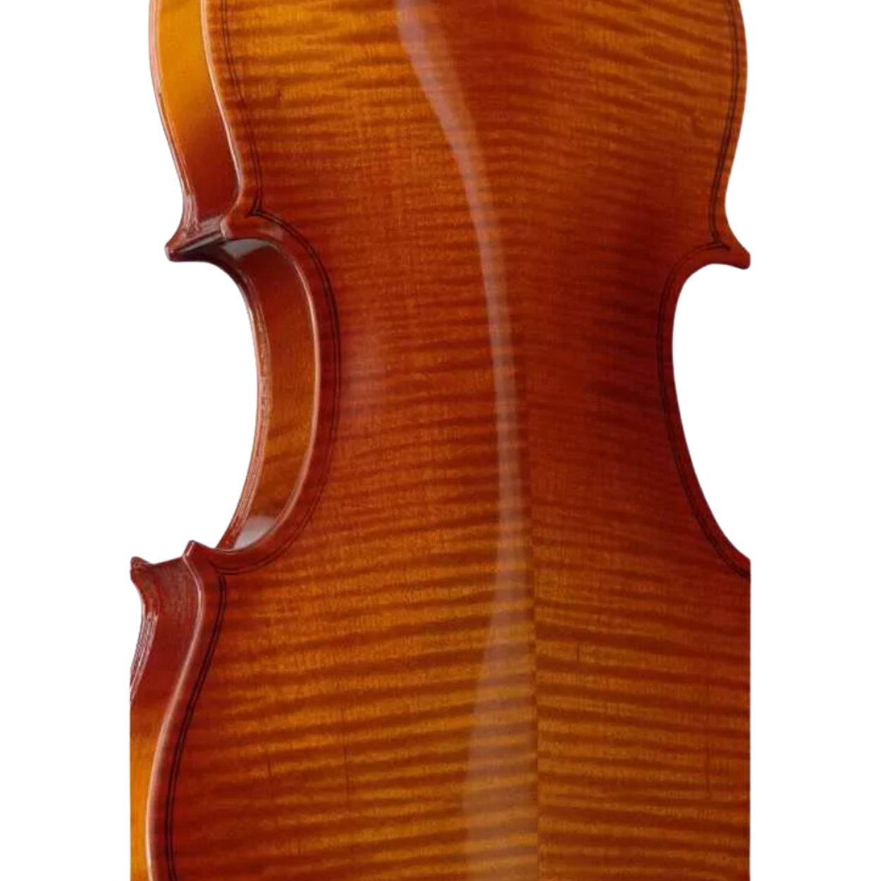Stagg Vn-1/2 L 1/2 Size Maple Violin With Soft Case |  STAGG |  STRINGS INST-VIOLIN |  Zoso Music