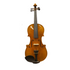 Benjamin Kienz Selection VPR50 4/4 Size Violin with Case for 12+ years old |  BENJAMIN KIENZ |  STRINGS INST-VIOLIN |  Zoso Music