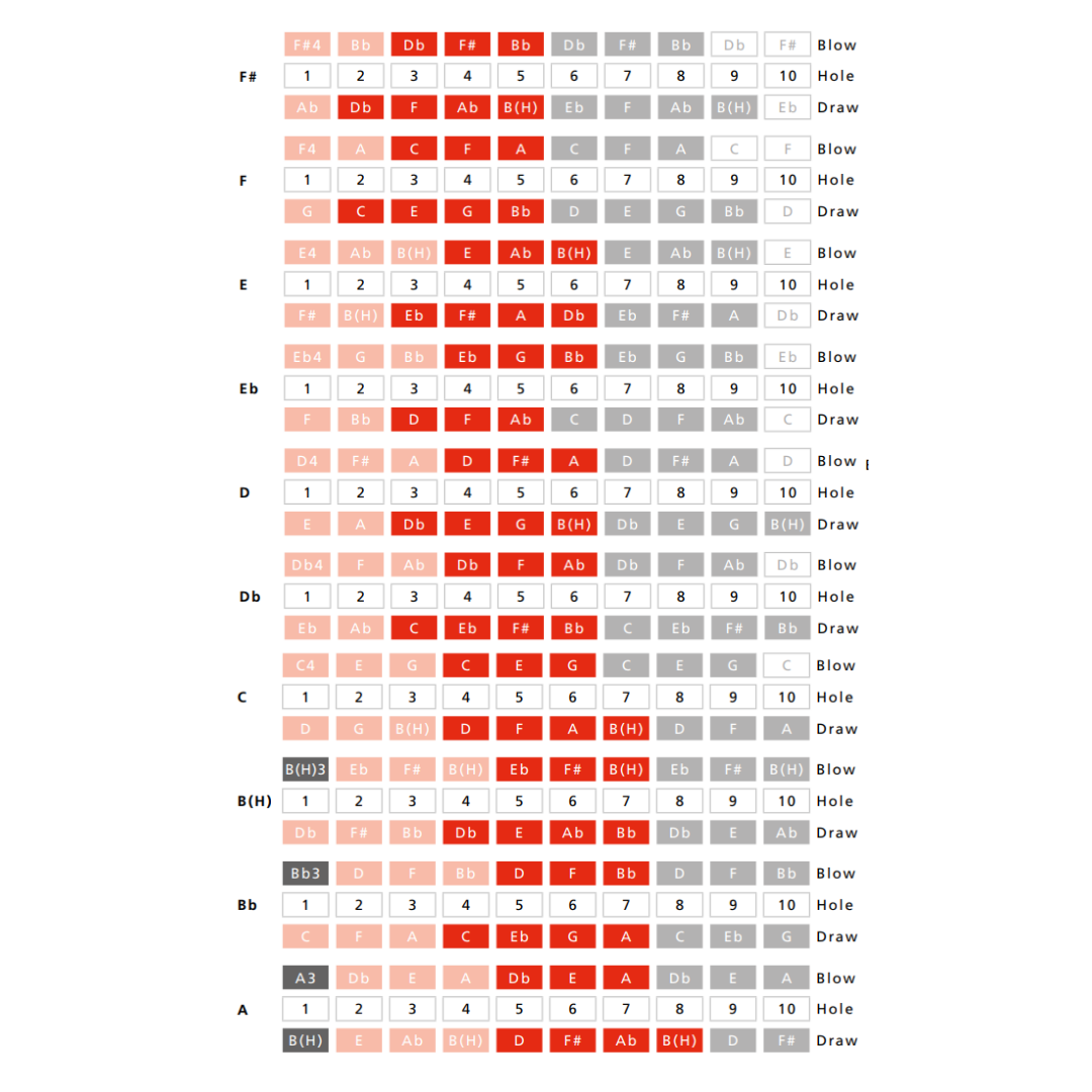 Hohner Enthusiast Series Blues Band 10-Hole Diatonic Harmonica - Key of C |  HOHNER |  HARMONICA |  Zoso Music