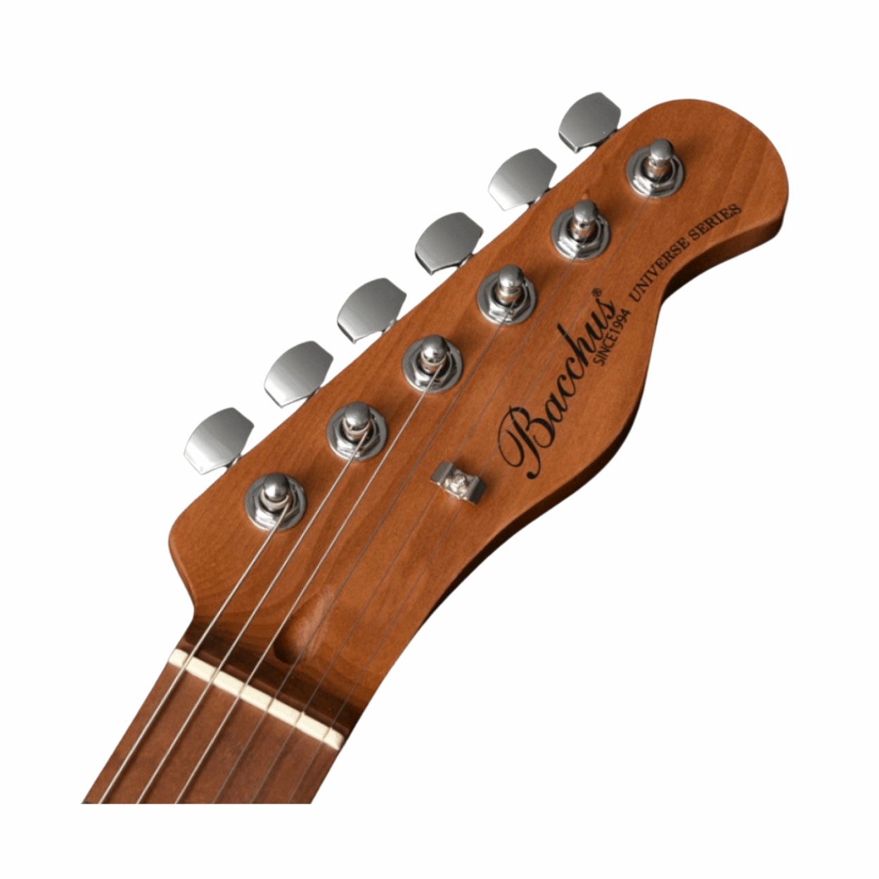 Bacchus Bte-2-rsm/m-blk Universe Series Roasted Maple Electric Guitar, Black With Bag