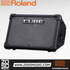 Roland CUBE Street EX 50-watt 2x8 Battery Powered Combo Amplifier |  ROLAND |  AMPLIFIER-CABINET |  Zoso Music