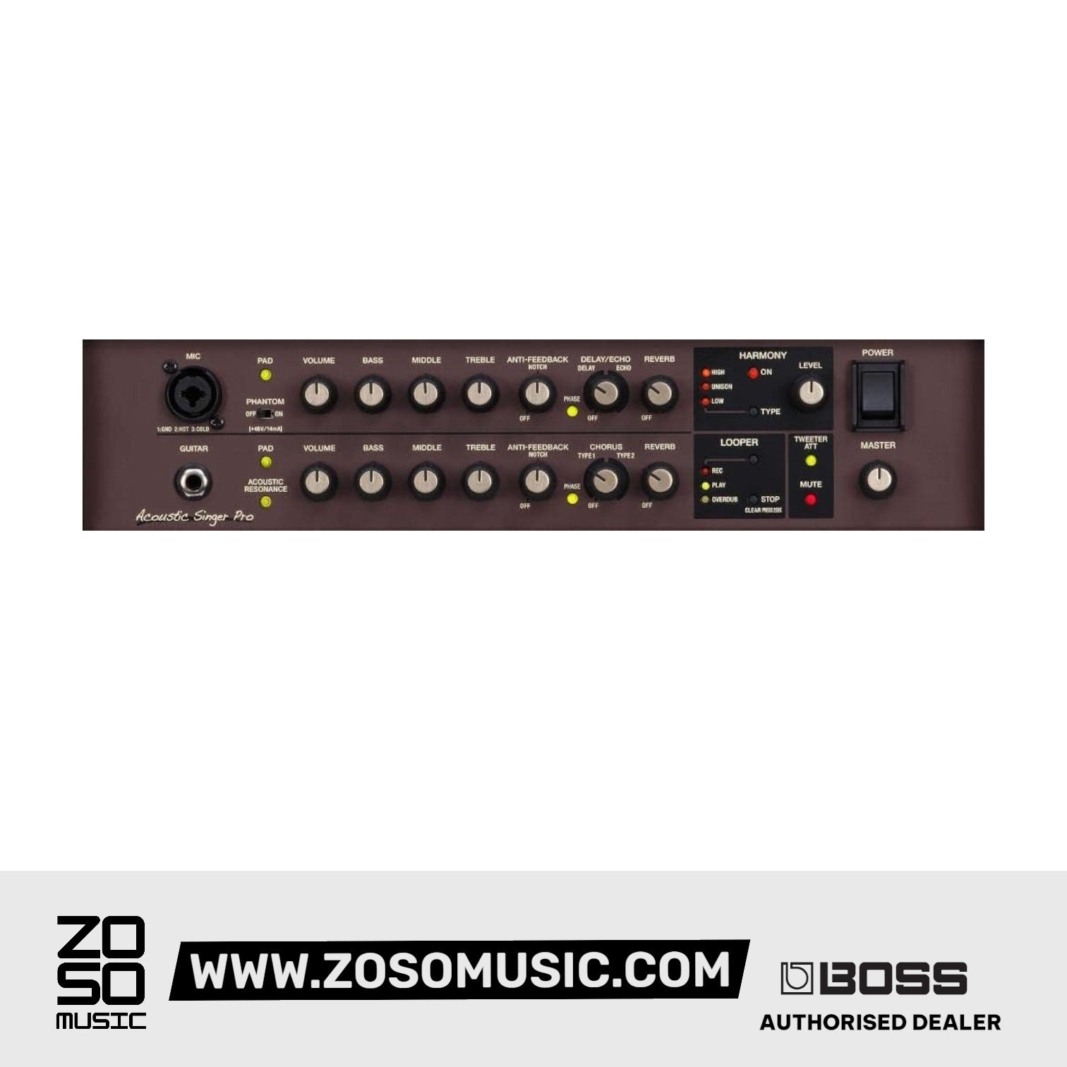 Boss ACS-PRO Acoustic Singer Pro - 120 Watt Acoustic Guitar Combo Amplifier |  BOSS |  AMPLIFIER-CABINET |  Zoso Music