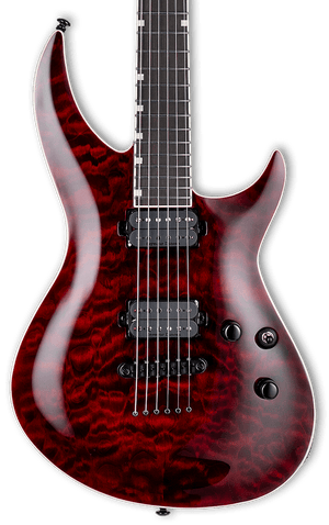 ESP LTD H3-1000 Electric Guitar - Black Cherry Zoso Music