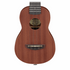 Ibanez Uks100 Soprano Ukulele, Natural