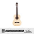 Cordoba Protege C1M 3/4 Size Classical Guitar - Spruce Top, Mahogany Back & Side, Entry Level Best Classical Guitar For Kids 10 - 12 Years Old, Beginners Classical Guitar |  CORDOBA |  CLASSICAL GUITAR |  Zoso Music
