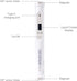 Amaran PT1c RGB LED Pixel Tube Light (1') |  AMARAN |  LIGHTING - STUDIO |  Zoso Music