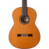 Cordoba C9 CD - Solid Canadian Cedar Top, Solid African Mahogany Back & Sides, With Cordoba Polyfoam Guitar Case (Full Solid) |  CORDOBA |  CLASSICAL GUITAR |  Zoso Music