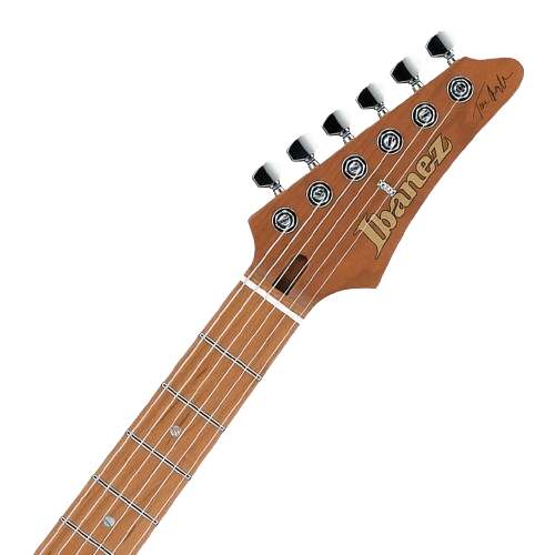 Ibanez Tom Quayle Signature TQM1 Electric Guitar - Natural |  IBANEZ |  ELECTRIC GUITAR |  Zoso Music