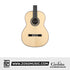 Cordoba C10 Crossover Nylon String Acoustic Guitar - Solid European Spruce Top, Solid Rosewood Back & Sides | Zoso Music Sdn Bhd