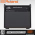 Roland PM-200 - 180 Watt, 1x12" Personal Drum Monitor |  ROLAND |  AMPLIFIER-CABINET |  Zoso Music
