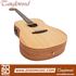 Tanglewood TR5 E Roadster II Dreadnought Acoustic-Electric Guitar |  TANGLEWOOD |  ACOUSTIC GUITAR |  Zoso Music