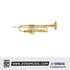 Yamaha YTR-6335 Series Bb Trumpet | Zoso Music Sdn Bhd