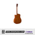 Yamaha FGX800C 41'' Dreadnought Solid Spruce Acoustic Electric Guitar With Pickup |  YAMAHA MUSIC |  ACOUSTIC GUITAR |  Zoso Music