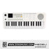 Medeli MK1 37 Key Portable Mini Keyboard with Original Adapter |  MEDELI |  KEYBOARD-PORTABLE |  Zoso Music